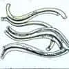 Green Bean Noodle