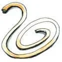 Rubber Band