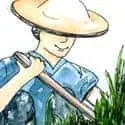 Weeding