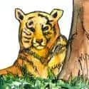 Tiger (101) illustration
