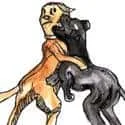 Dogfight (125) illustration