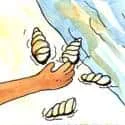 Catch Clams (131) illustration