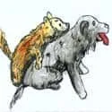 Dog Mating (177) illustration