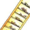 Filter Tin (208) illustration