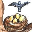 Bird'S Net (213) illustration