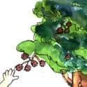 Mining Fruit (255) illustration