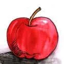 Apple (267) illustration