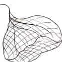 Fishing Net (271) illustration