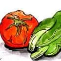 Vegetable (276) illustration