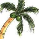 Coconut Tree (300) illustration