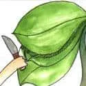 Cut Tobacco (355) illustration
