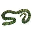 Flower Snake (381) illustration