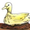 Duck Hatching (391) illustration