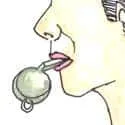 Blow Whistle (432) illustration