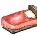 Bed (448) illustration