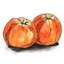 Mandarin (478) illustration