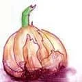 Scallion (484) illustration