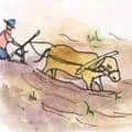 Farming (488) illustration