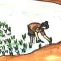 Transplanting Rice Seedlings (491) illustration
