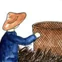 Collect Rice (496) illustration