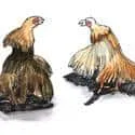 Cockfighting (505) illustration