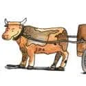 Oxcart (506) illustration