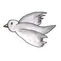 Birds (516) illustration