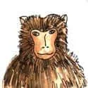 Monkey (529) illustration