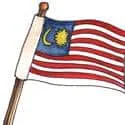Flag (574) illustration