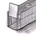 Mouse Trap (581) illustration