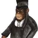 Monkey Show (593) illustration