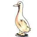Goose (595) illustration