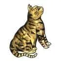 Cat (599) illustration