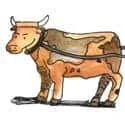 Cow (602) illustration