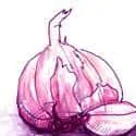 Onion (619) illustration
