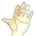 Hand (634) illustration