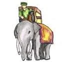 Riding Elephant (644) illustration
