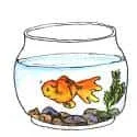Fish Feeding (655) illustration