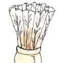 Badminton (671) illustration