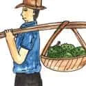 Carry Durians (672) illustration