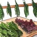 Selling Vegetables (737) illustration