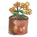 Flowerpot (760) illustration