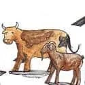 Cow And Goat Cross The Road (761) illustration