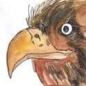 Eagle (763) illustration