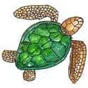 Turtle (764) illustration