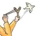 Shot Birds (772) illustration