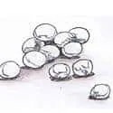 Fish Ball (780) illustration