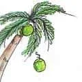 Coconut Drop (799) illustration