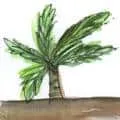 Atap Tree (803) illustration
