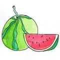 Watermelon (829) illustration